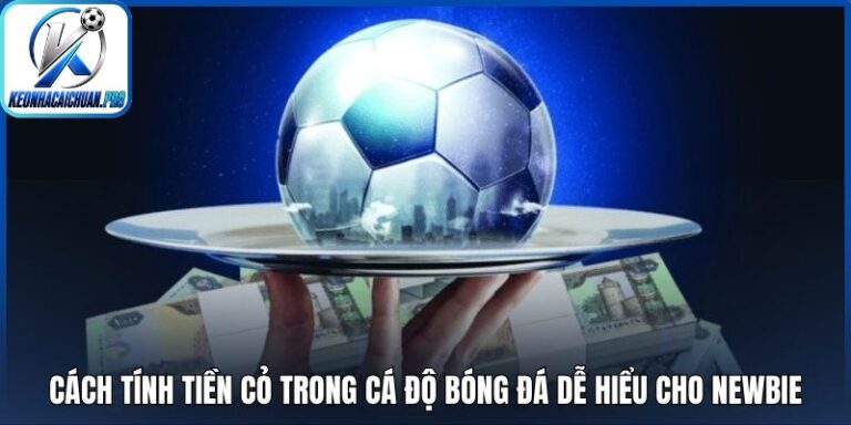 Cách tính tiền cỏ trong cá độ bóng đá