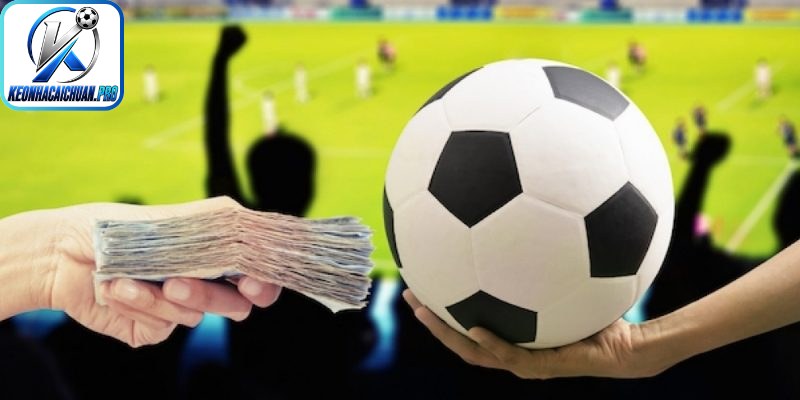 Cách tính tiền cỏ trong cá độ bóng đá với tỷ lệ ăn đủ