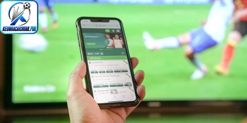 Livescore có thông tin uy tín