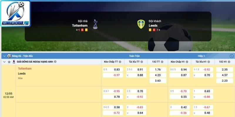 Kèo châu Á trận Tottenham Hotspur vs Leeds United (02:00 12/05, Ngoại Hạng Anh)

